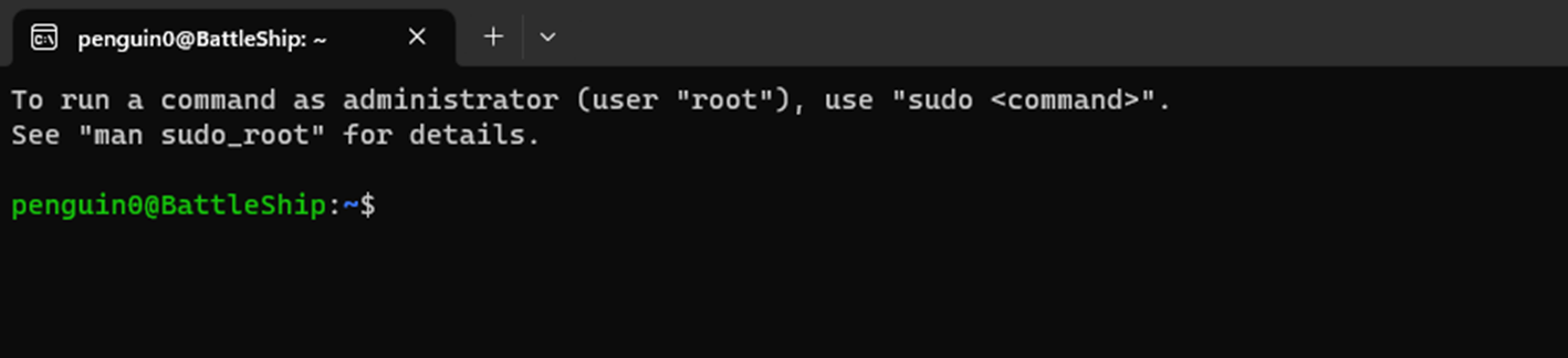 Example showing Ubuntu Prompt