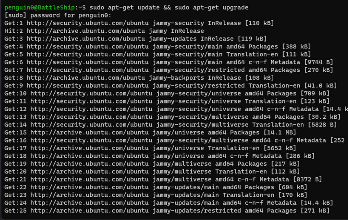 Example showing Ubuntu Prompt
